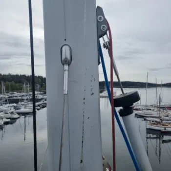 20220504_110319-400x533